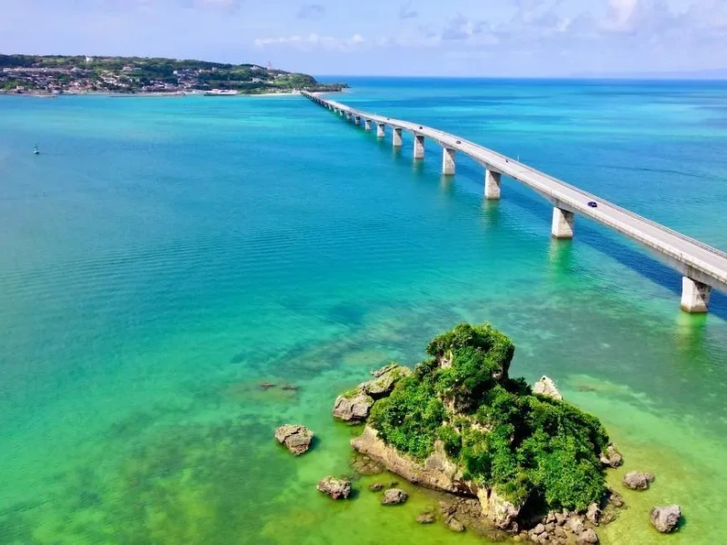 LeaLea ile Okinawa Chura Otobüs Turu ve Taco Rice Öğle Yemeği