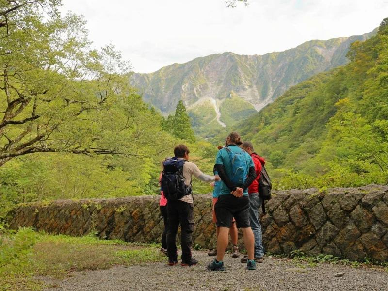 Tottori Daisen Kayın Ormanı Yürüyüşü