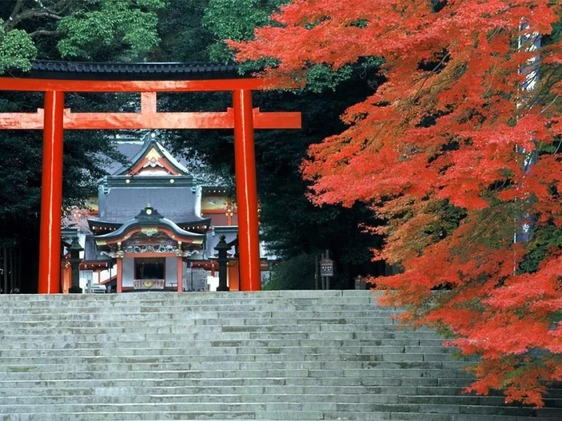 Kagoshima Havalimanı Transferi ve Şehir Turu