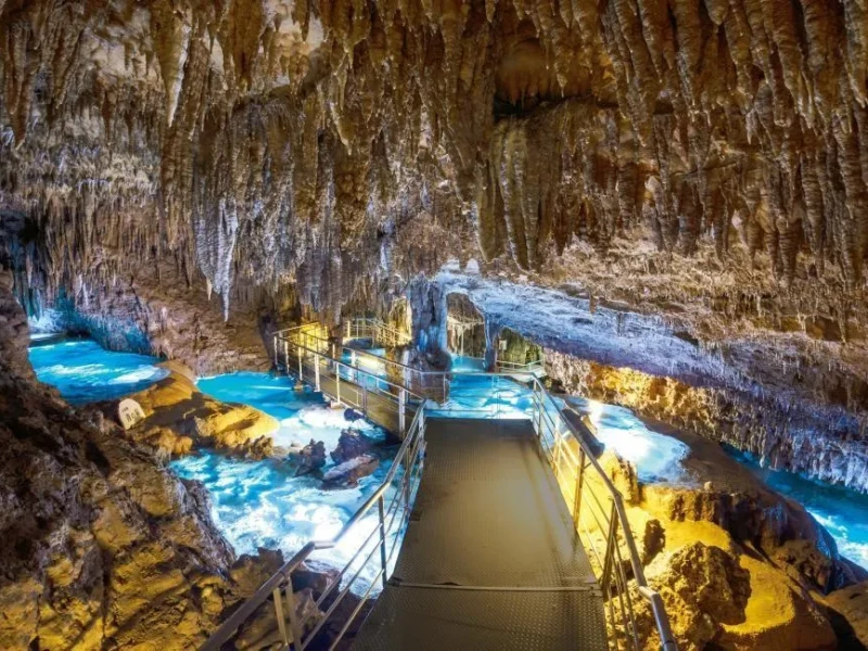 LeaLea ile Okinawa Güney Tur Otobüsü