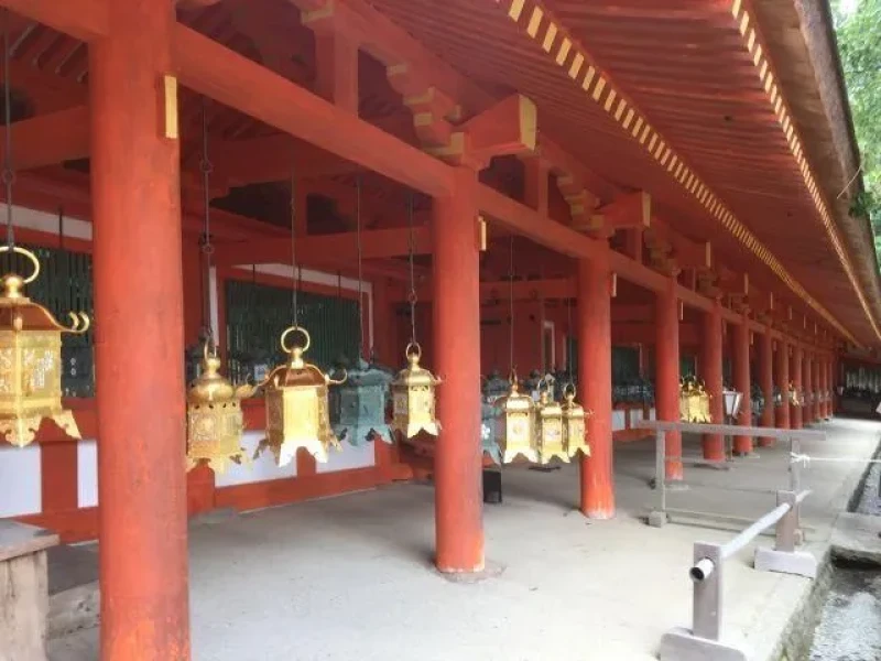 Nara Tarihi Park Yarım Gün Yürüyüş Turu