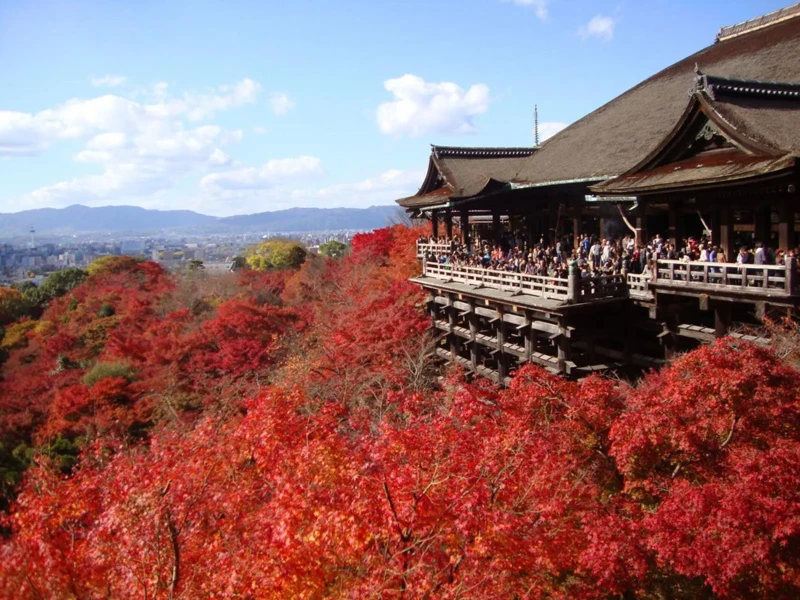 Kyoto'nun Önemli Noktaları 1 Günlük Otobüs Turu