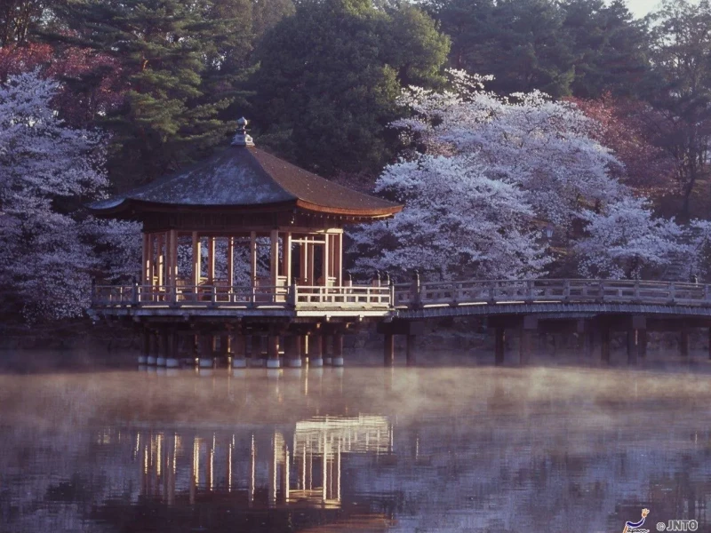 Kyoto Sabah Turu: Tarihi ve Dünya Mirasları