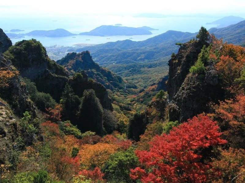 Kobe'den Shodoshima Adası 1 Günübirlik Tur