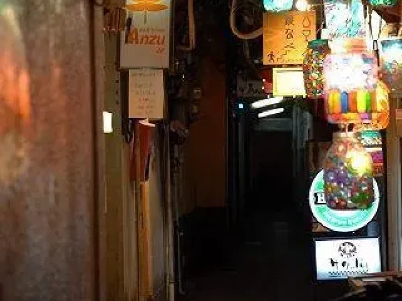 Kyoto'da Bar Keşfi Turu