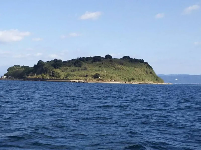 Kinkowan Körfezi ve Sakurajima Turu