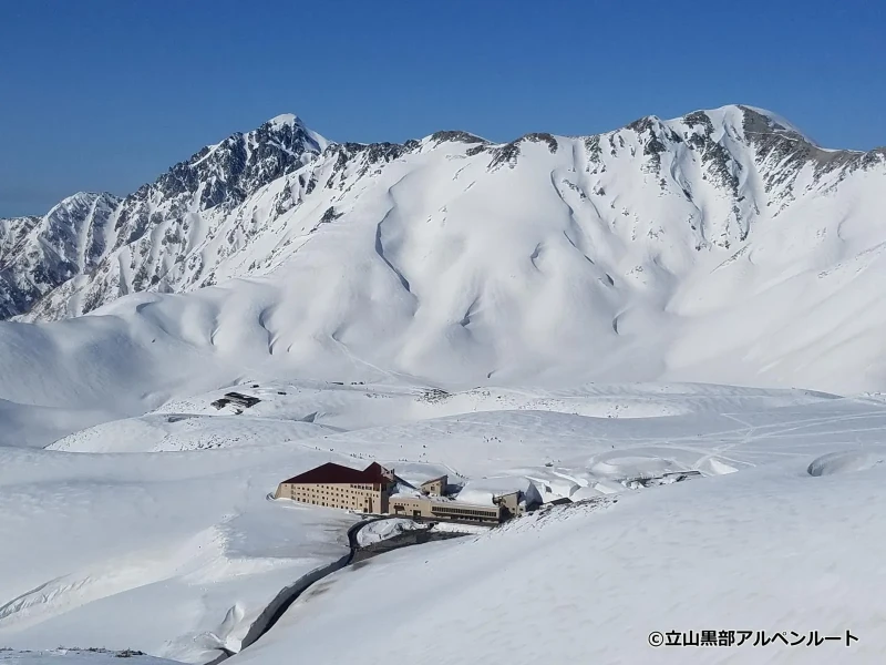 Nagoya'dan Çinli Rehberli Tateyama Kar Duvarı Günübirlik Turu