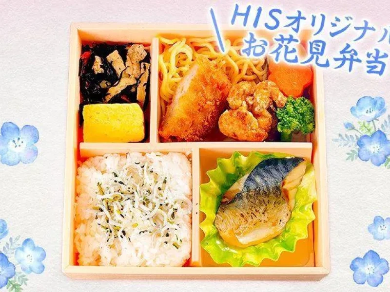 Tokyo'dan Hitachi Nemophila ve Ashikaga Mor Salkım Günü