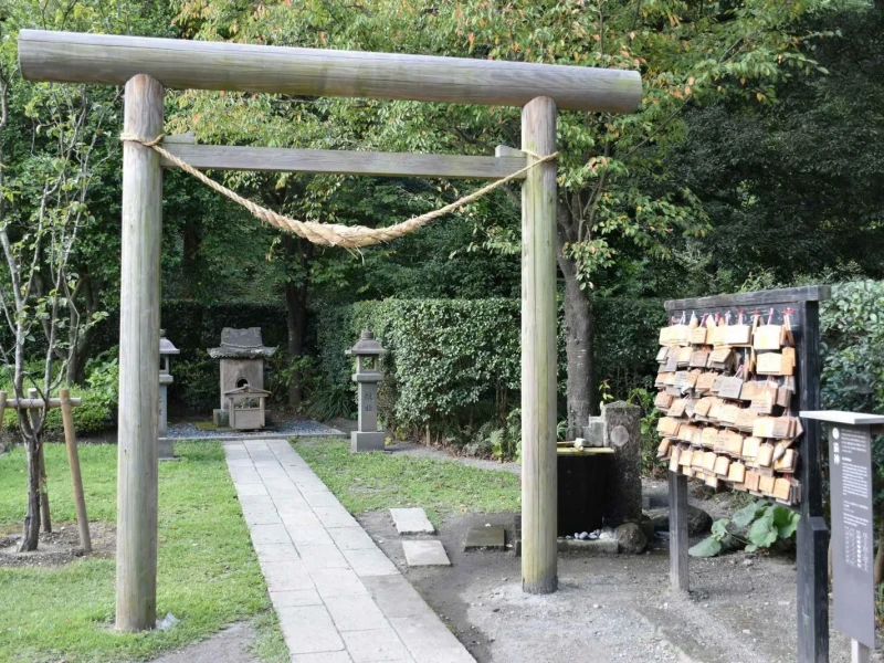 Kagoshima Sengan-en’de Neko Castella ve Matcha Çayı Töreni