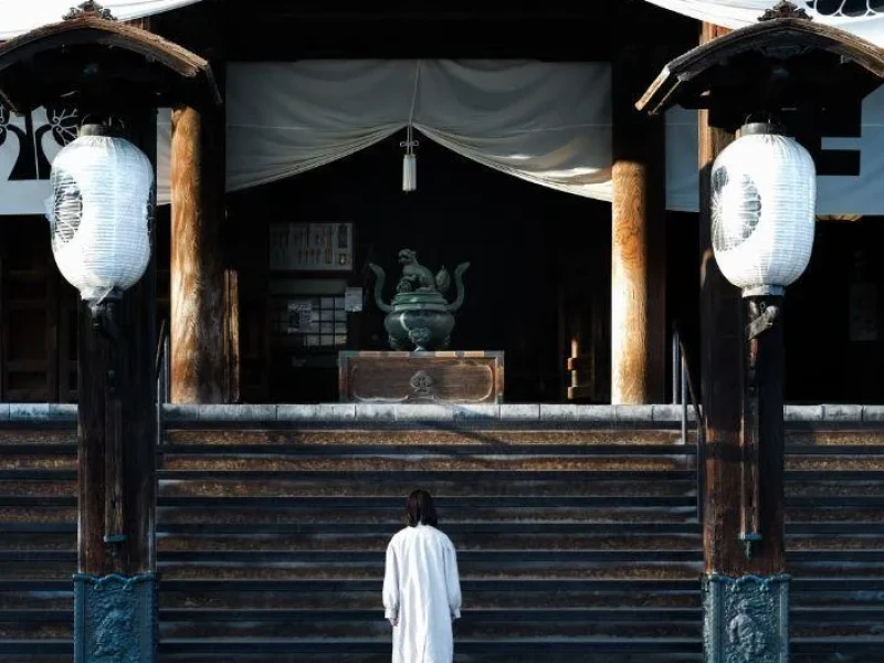 Nagano’da Kar Maymunları, Zenkoji Tapınağı ve Sake Turu