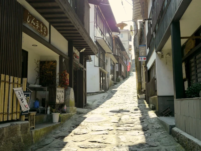 Beppu'dan Özel Araçla Yufuin'in Çiçek Köyü ve Kinrin Gölü Turu