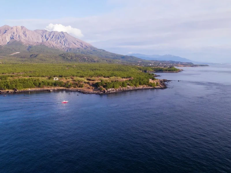 Özel Sakurajima Feribot Turu