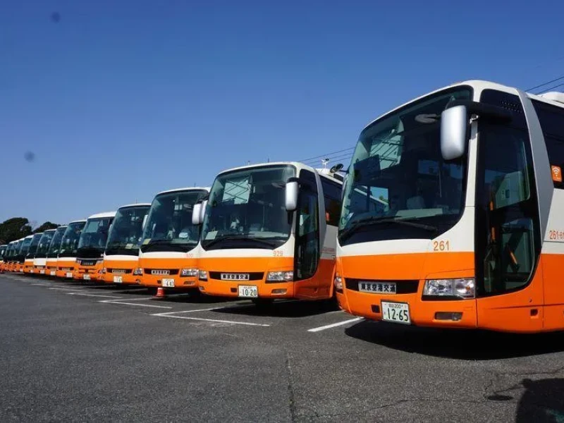 Narita Havalimanı Limuzin Servisi (Gidiş-Dönüş)
