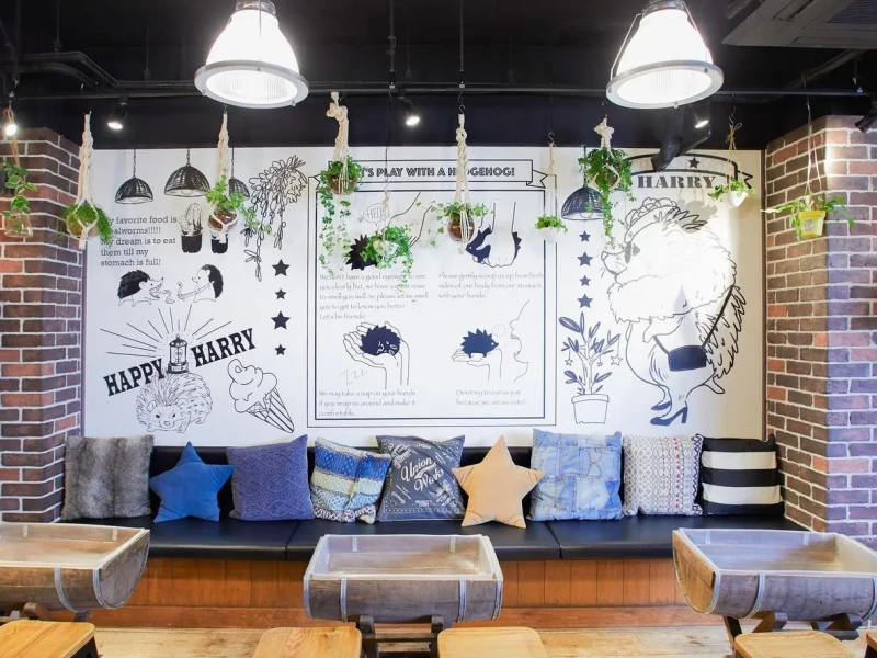 Harajuku Kirpi Kafe
