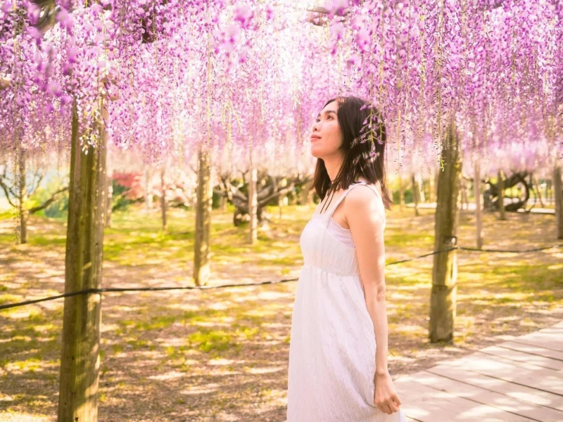 Kawachi Wisteria Bahçesi ve Mojiko Limanı ile Kitakyushu'da Alışveriş Keyfi