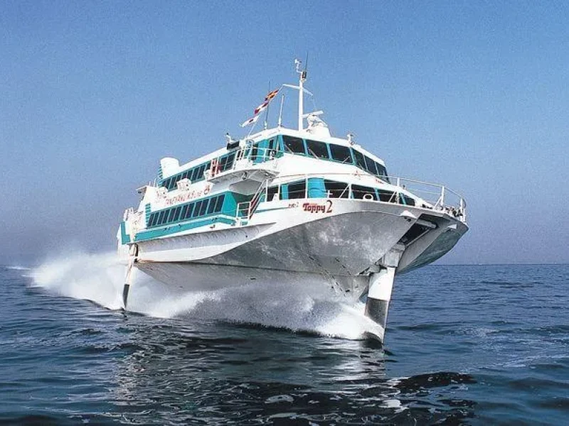 Yakushima ve Tanegashima Hızlı Jetfoil Turu