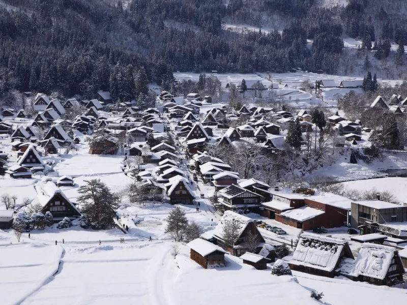 Nagoya'dan Shirakawago ve Takayama: 1 Günlük Özel Kırsal Keşif
