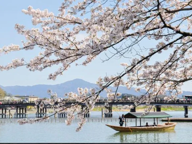 Arashiyama'da Yemekli Geleneksel Tekne Turu