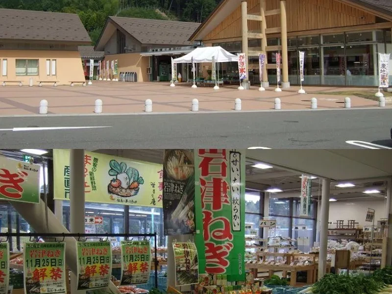 Osaka'dan Kinosaki Onsen ve Kasumi Yengeci Lezzet Turu
