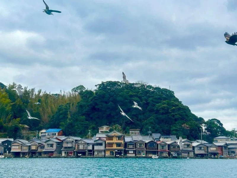 Osaka'dan Amanohashidate ve Miyama Kayabuki Köyü Günlük Turu