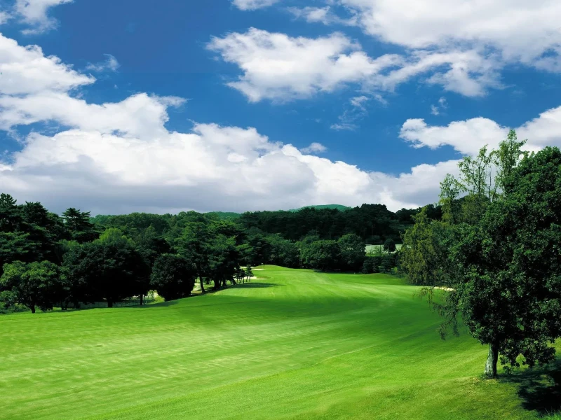 Fukuoka'da Özel Transferli Golf Keyfi