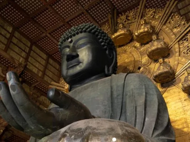 Osaka/Kyoto'dan Kyoto ve Nara Tam Gün Turu + Hint Thali Öğle Yemeği