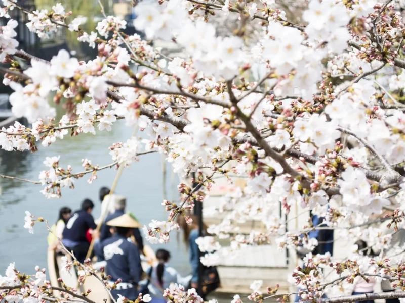 Fukuoka Yanagawa Nehir Turu ve Izgara Yılan Balığı Öğle Yemeği