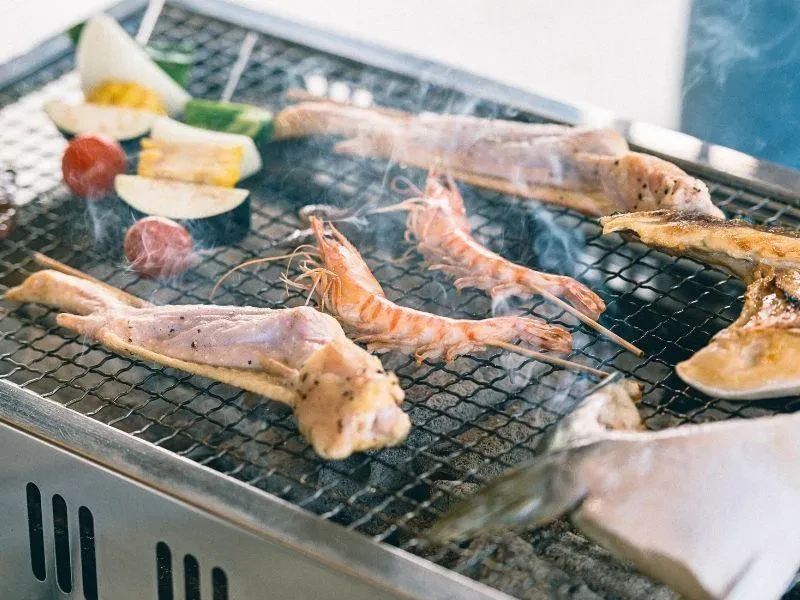 Kumamoto Günübirlik Tur: Yunus İzleme ve Sahil Keyfi BBQ