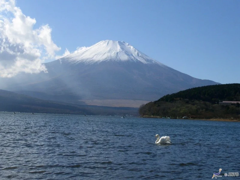 Shinjuku'dan Fuji Dağı & Hakone Günübirlik Turu