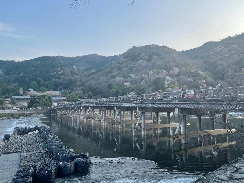 Yalnızca Size Özel İngilizce Rehberli Kyoto Araç Kiralama