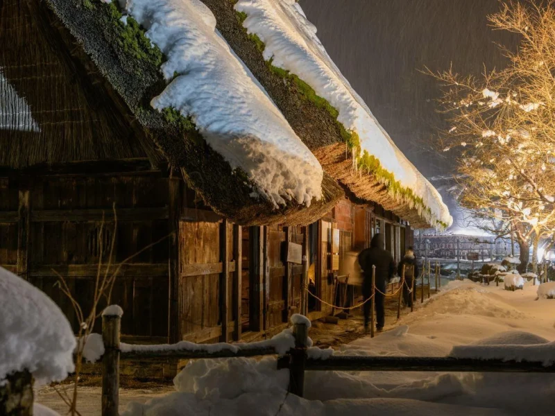 Nagoya'dan Shirakawa-go, Takayama ve Hida Işıklandırma Turu