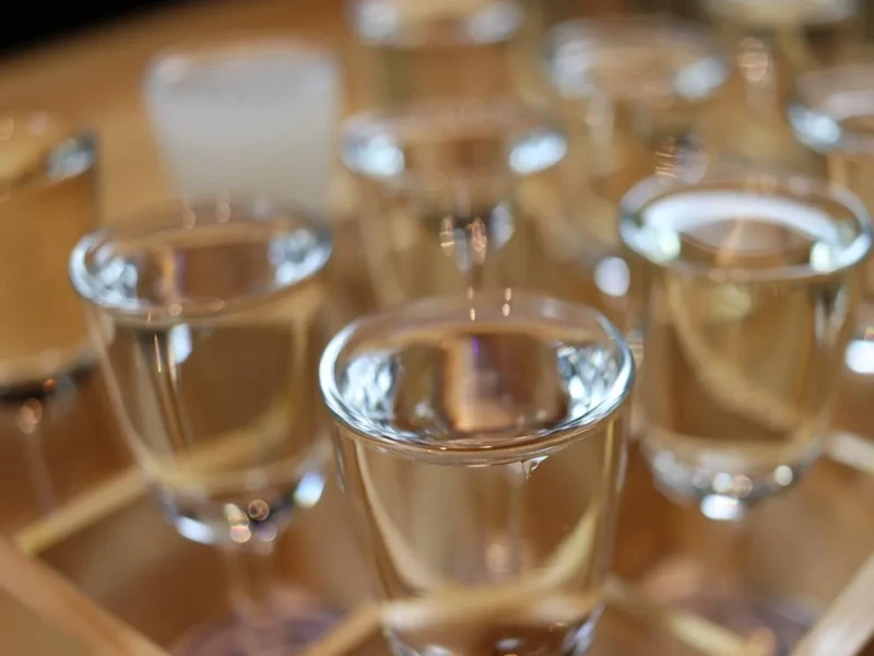 Kyoto'da Sake Tadımı ve Tekne Turu