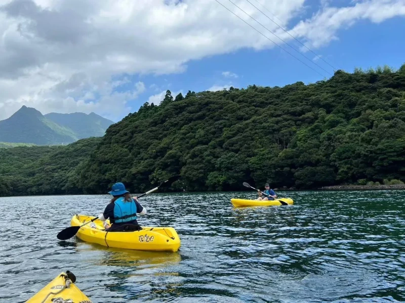 Yakushima Adası Anbo Nehri'nde Yarım Günlük Rehberli Kano Macerası