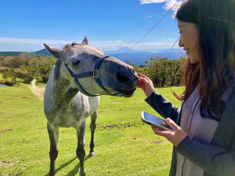 Kagoshima Horse Trust'ta Atlarla Doğa Yürüyüşü