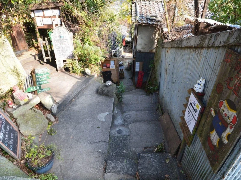 Onomichi ve Tomonoura'yı Keşfet: 1 Günlük Özel Tur
