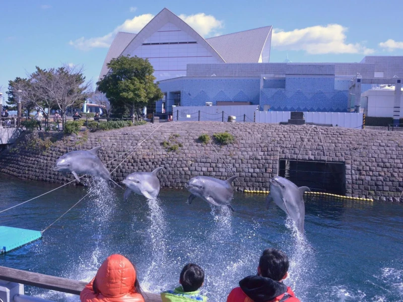 Kagoshima Akvaryumu ve Yamagen'de Geleneksel Unagi Keyfi