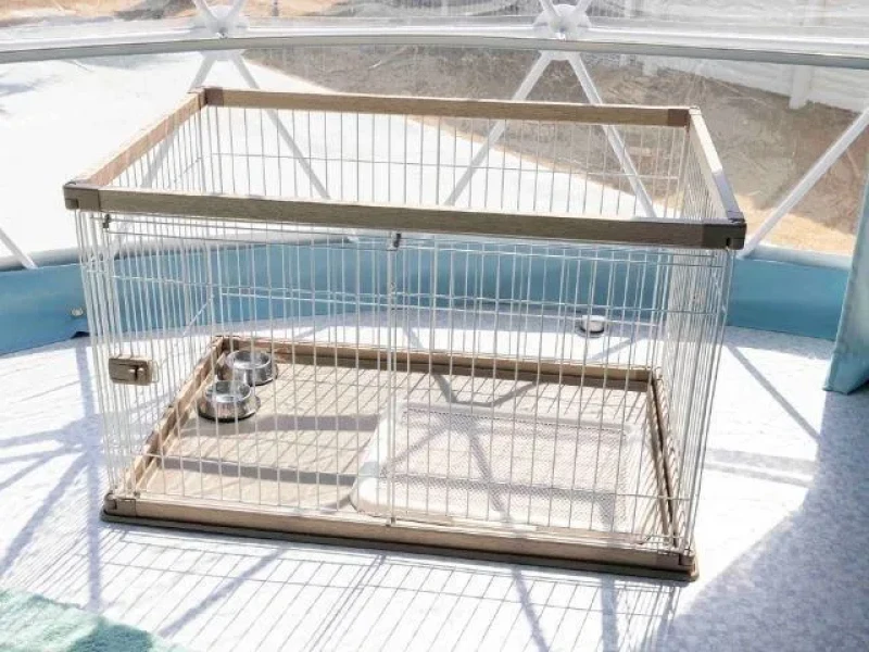 Sugar Beach Oarai: Deniz Kenarında 2 Gün 1 Gece Lüks Glamping