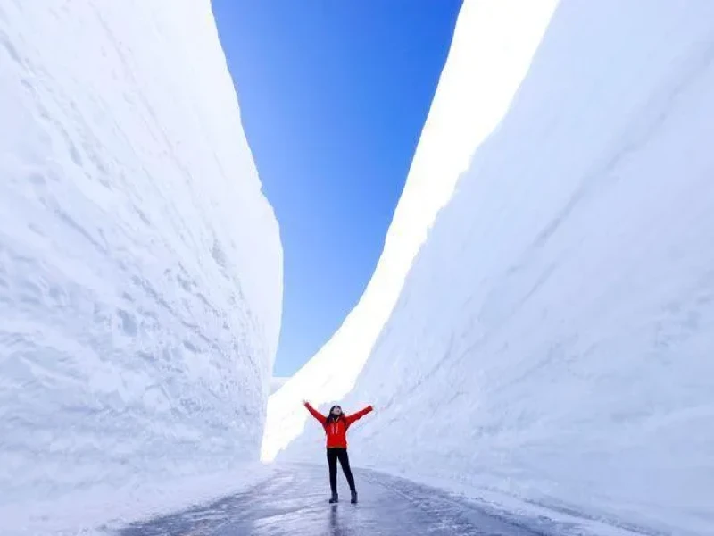 Kanazawa'dan Tateyama Kurobe Kar Duvarı Festivali Günübirlik Tur