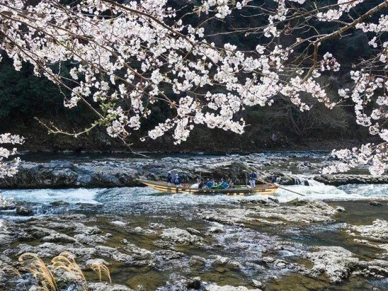 Kyoto'da Sagano Tren Turu ve Hozugawa Nehri Tekne Gezisi