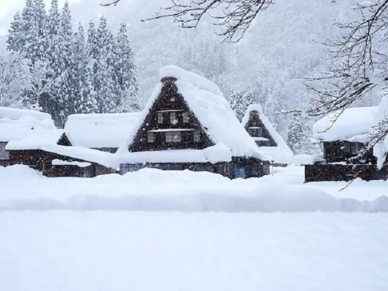 Osaka veya Kyoto'dan Shirakawago ve Takayama 2 Günlük Doğa Turu
