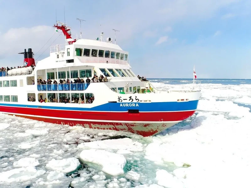 Abashiri Kıyısında Buz Sörfü ve 'Aurora' Kıran Buzgemisi Turu