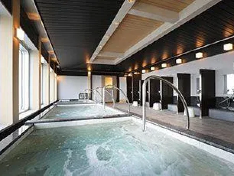 Osaka'dan Kagoshima'ya Güneş Çiçeği Feribotu ile Keyifli Yolculuk
