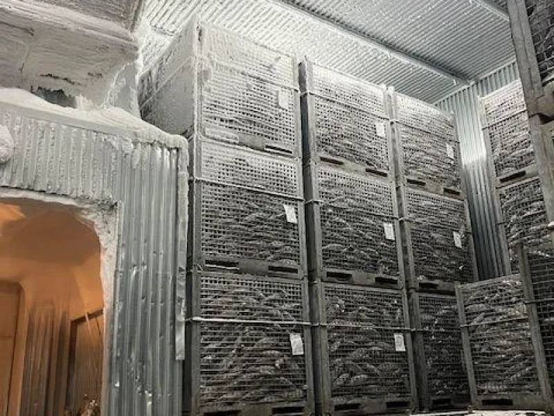 Ibusuki’de Lüks ve Doğa ile Huzur Dolu 2 Gün