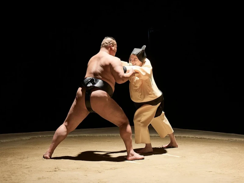 Hirakuza Sumo Salonu Giriş Bileti