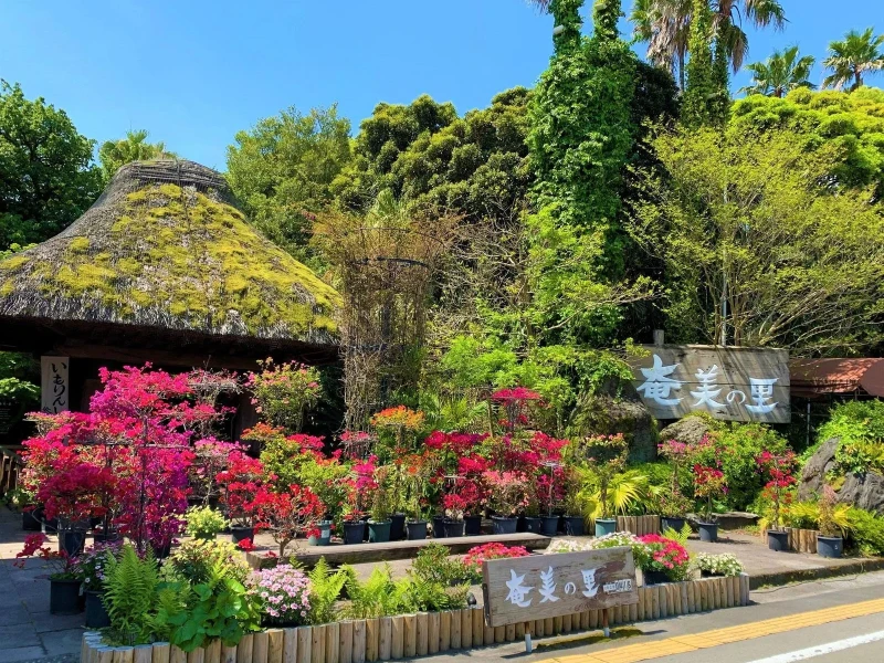 Kagoshima'da Doğal Boya ile Mendil Atölyesi