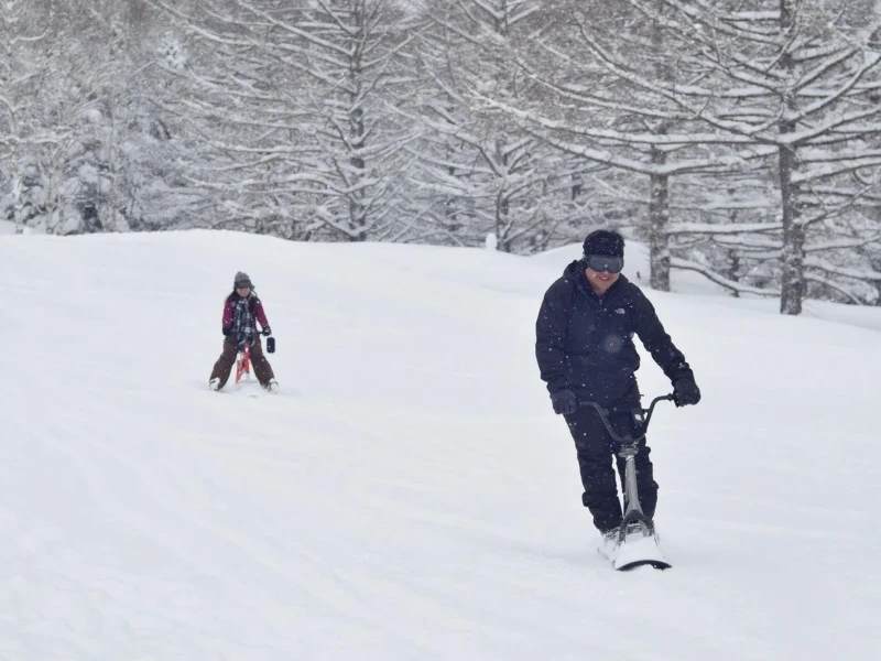 Shiga Kogen'de Kar Maymunları ve Kar Keyfi Turu