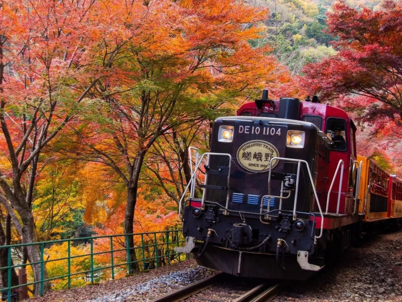 Kyoto Sagano Romantik Treni ve Hozugawa Nehir Teknesi Turu