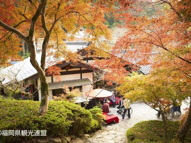 Fukuoka YokaBus: Kirin Bira, Akizuki Kalesi ve Hikosan Dağı Turu