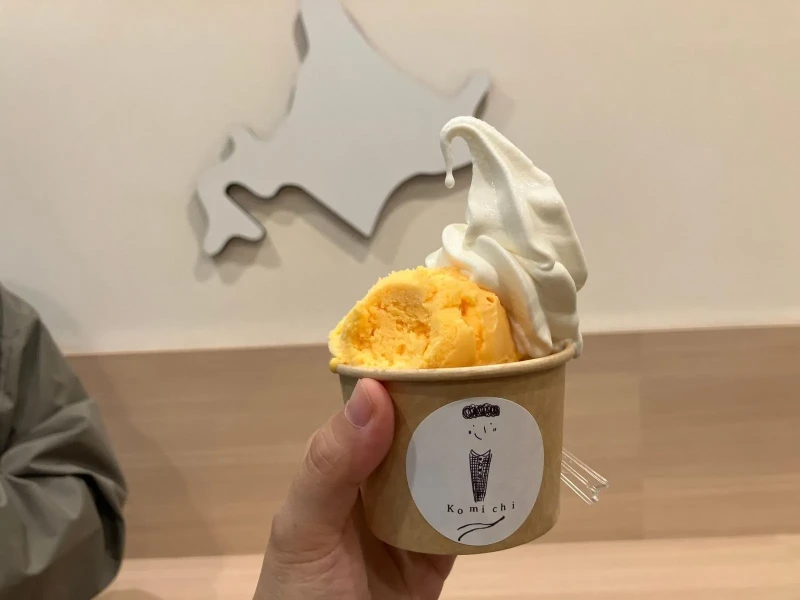 Sapporo Günlük Yürüyüş Turu