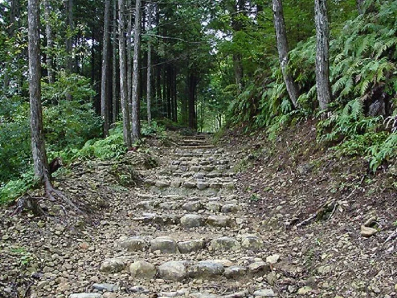 Osaka'dan 2 Günlük Kumano Kodo Yürüyüş Turu